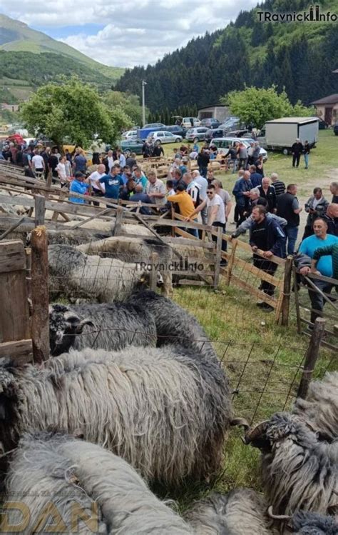 U Turbetu održan tradicionalni dernek đurđevdanski vašar Veliki broj