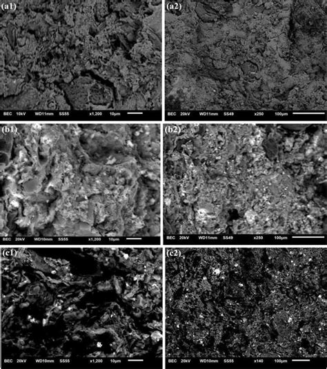 SEM Graphs Of A1 A2 FB Adsorbent B1 B2 CFB MZVI Adsorbent And