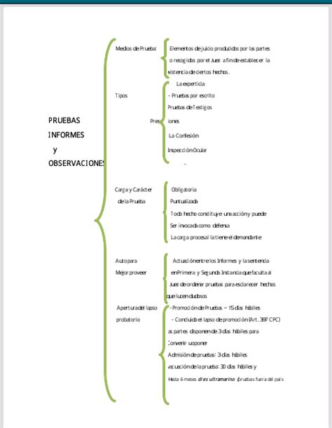 Apuntes De Derecho Las Pruebas Informes Y Observaciones En El Proceso