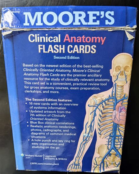 Clinical Anatomy By Alan Moore And Douglas J Gould 2013 Cards Flash