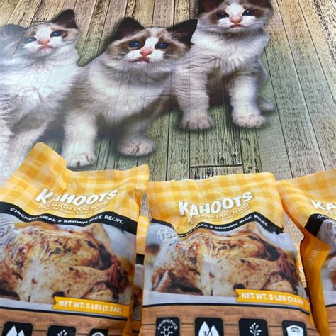 Kahoots Cat Food Reviews Cheap Clearance Brunofuga Adv Br