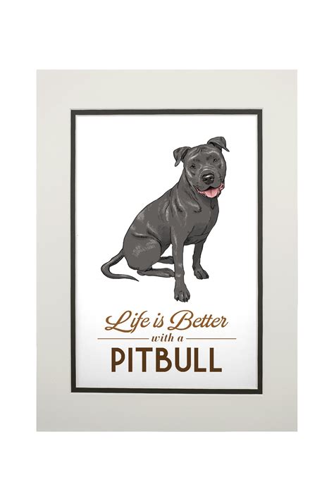 Pitbull, Gray, Life is Better, White Background - Walmart.com