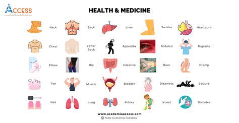 Vocabulario De Salud Y Medicina En Ingl S Pdf Academia Access