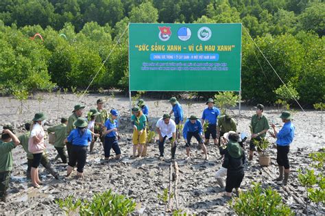 Youth planted 3,000 trees at Cape Ca Mau – Thuvienpc.com