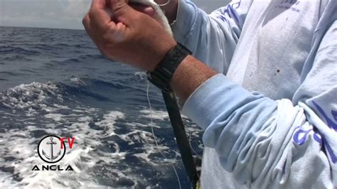 Fishing Tip Rigging Ballyhoo Youtube