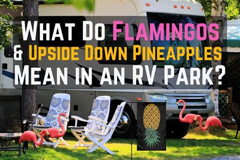 Flamingos And Pineapples In Rv Parks Meaning Exposed