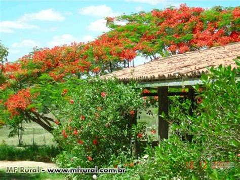 Chapada Diamantina Lind Ssima Fazenda Pasargada Em Morro