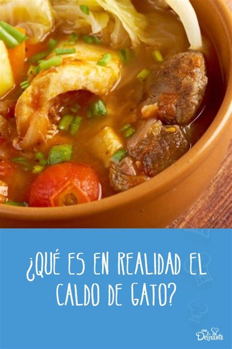 Descubrir 69 Imagen Sopa De Gato Receta Abzlocalmx