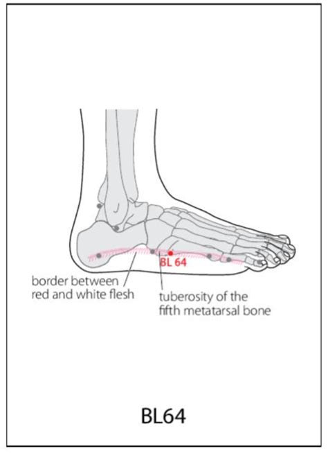 Bl 64 Acupuncture Point Acupuncture Point Locations Review