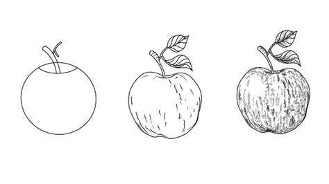 How to Draw an Apple with Shading - Jae Johns