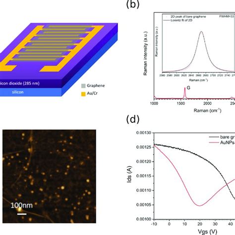 A Schematic Illustration Of The Graphene Transferred On The SiO 2 Si