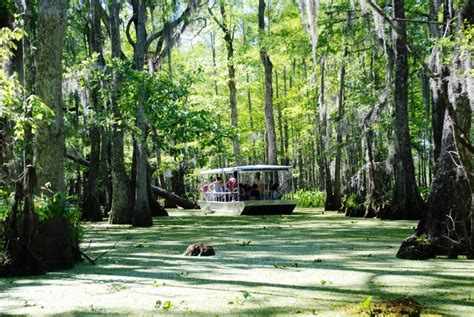 Louisiana Northshore St Tammany Parish