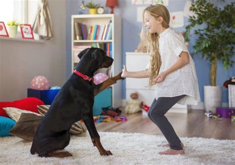 24 Best Dog Breeds for Kids: Child-Friendly Breeds!