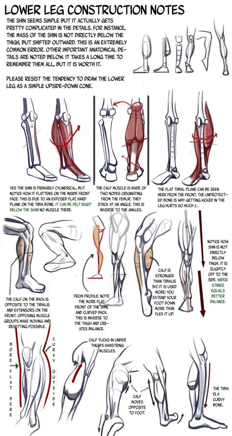 An Image Of The Lower Leg Construction Notes