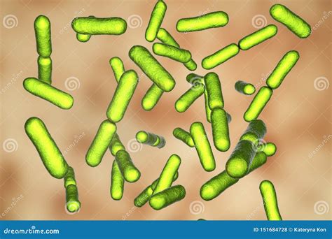 Probiotic Bacteria Bacillus Clausii Stock Illustration Illustration