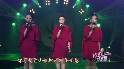 歌手黑鸭子组合合唱《山楂树》婉转空灵，声色动人音乐流行乐好看视频