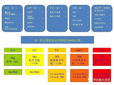 美国放射学会ACR甲状腺结节超声分级TI RADS 凤凰网