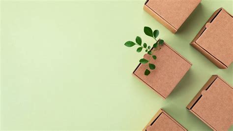 Packaging sostenibile cos è vantaggi e tipi di imballaggi green