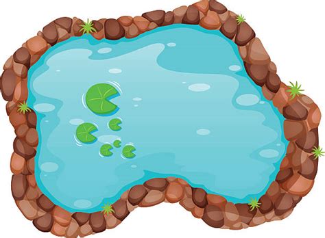 Pond Clip Art Vector Images And Illustrations Istock