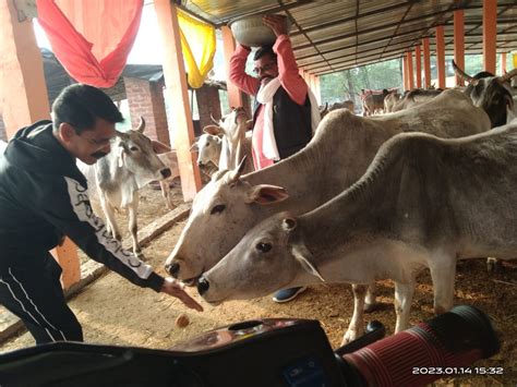 मयंक शुक्ला की रिपोर्ट।