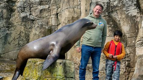 Go Wild Series 1 Steve And Aneeshwar 5 Sea Lion And Capybara