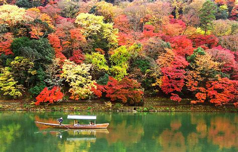 秋の行楽やイベントといえば？秋にしたいことや楽しめること For Your Life