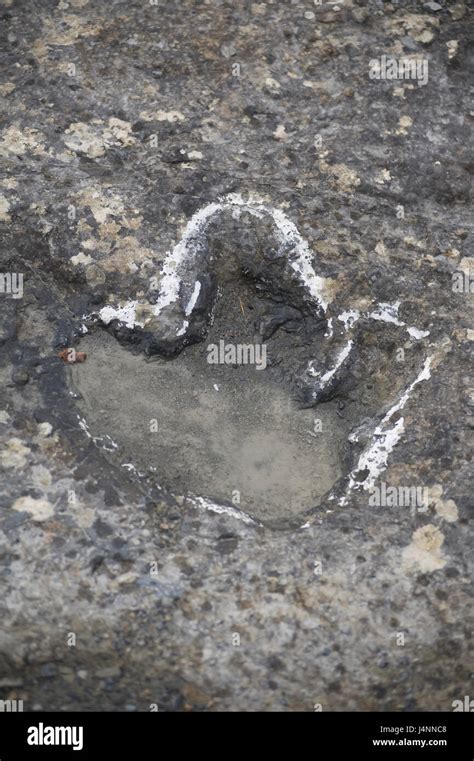 Footprints Of Brachiosaurus Sauropod Dinosaur Valdecevillo Site Near Enciso Village La Rioja