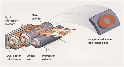 Flexo Printing - Flexography Technology