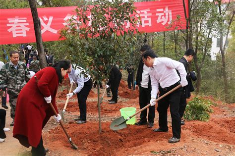 新春添新绿 植树正当时 于都县开展2024年新春义务植树活动 赣南林业网