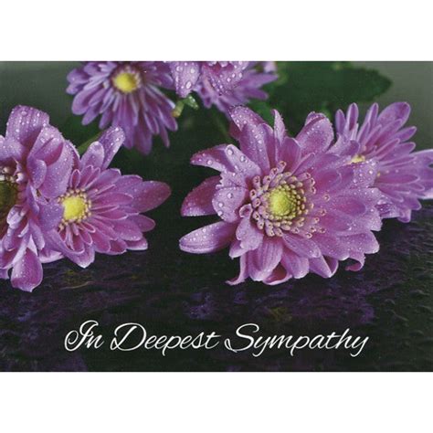 Family Treasures Boxed Sympathy Cards Dewdrops FT22409 – Good's Store ...