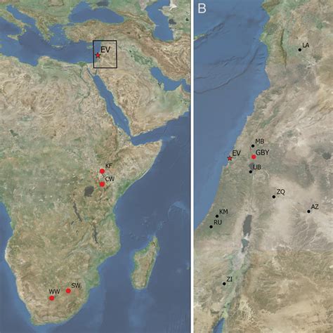 (A) Map of the global distribution of Lower Paleolithic sites ...