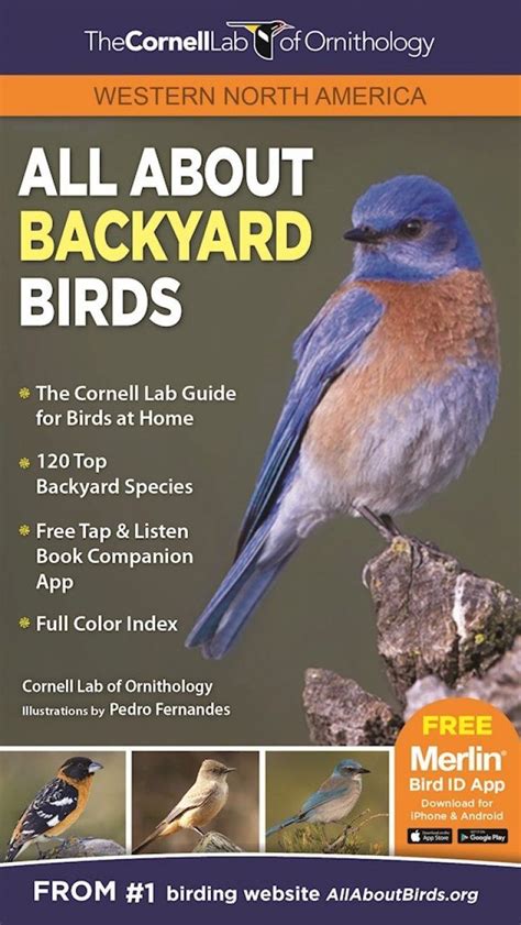 All About Backyard Birds Western North America NHBS Field Guides