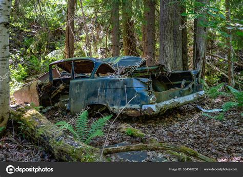 Old Car Wreck Fifties Abandoned Left Pollute Environment Forest Sweden