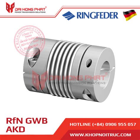 KHỚP NỐI TRỤC RINGFEDER GWB AKD Đại Hồng Phát