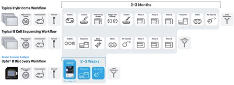 Bruker Cellular Analysis Beacon Data In Pipebio Software