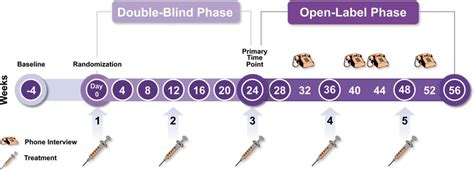 Phase Iii Research Evaluating Migraine Prophylaxis Therapy Preempt Download Scientific