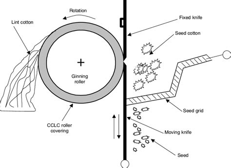 Working Principle Of The Cotton Roller Ginning Process Download