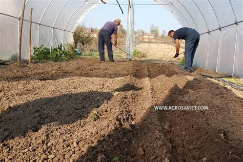 Zimska Proizvodnja Povr A U Plastenicima Agrosavjet