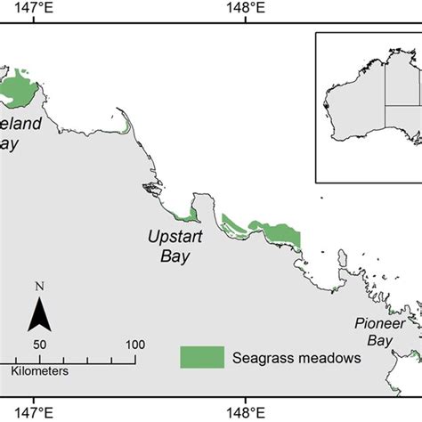 Map Of Intertidal Seagrass Meadows Green In The Central Great Barrier