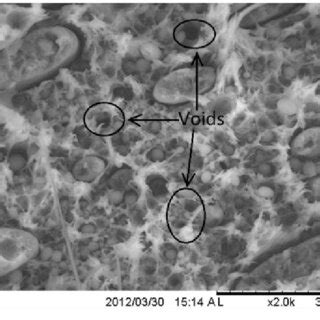 Sem Micrographs Taken From Impact Fractured Surface Of Pet Pp Blends