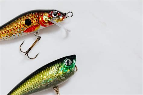 How to Fish a Clouser Minnow for Bass - Fanatics For Fishing