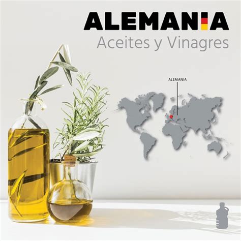 Aceite De Oliva Todo Lo Que Debes Saber Para Exportar Y Encontrar Clientes