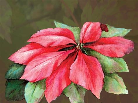 Silver Fox: Painting Poinsettias