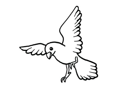 Simple Flying Bird Drawing at GetDrawings | Free download