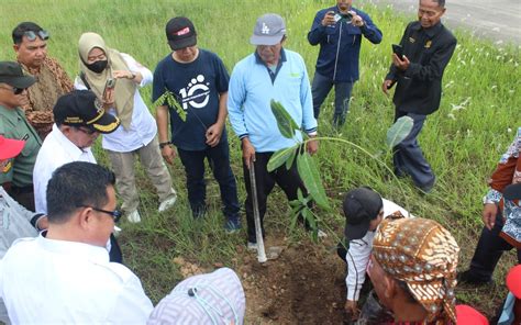 Gotong Royong Penanaman Pohon Badak Baru