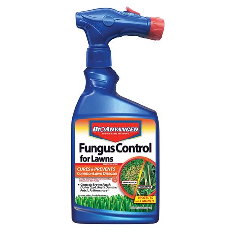 Bayer Advanced Fungus Control For Lawns 32 Fl Oz Lawn Fungus Control At