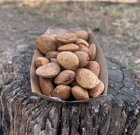 Almendras Ecol Gicas Ecohuerta