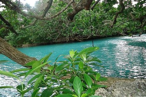 Cruise Ship Cultural & Blue Lagoon Tour - Atmosphere Tours Vanuatu