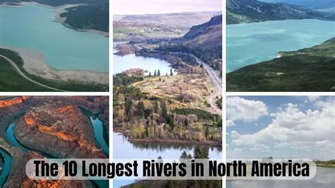 The 10 Longest Rivers in North America: Majestic Waterways Teeming with ...