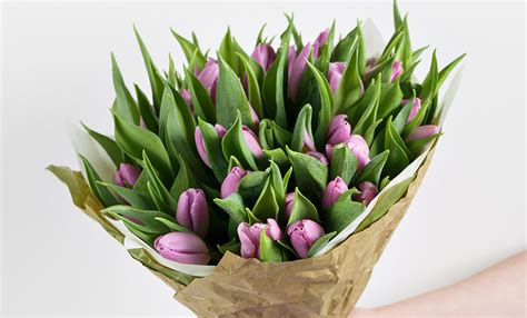 Precious Lavender Tulips – Flower Shop